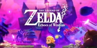 The Legend Of Zelda: Echoes Of Wisdom Developer Reportedly Revealed